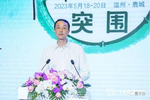 突围的网红语