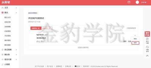头条号作者视频推荐量,头条号作者如何提升热门度