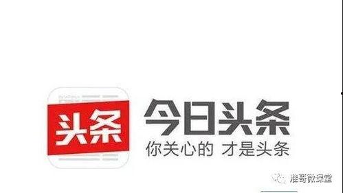 小白如何在头条号赚钱