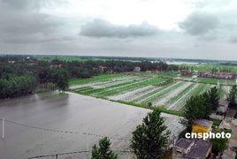 淮河县今日头条新闻,突发事件引发关注，详情揭晓！