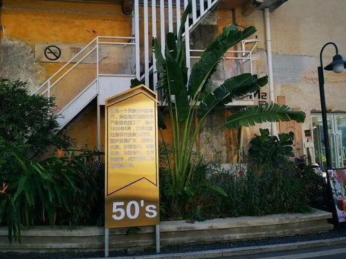 番禺的网红地点,探寻广州南部的时尚新地标