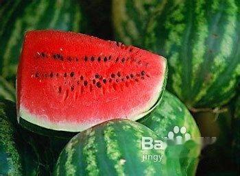 格鲁吉亚喷瓜可以吃吗,美味还是惊险？揭秘其可食用之谜