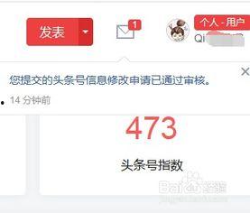 头条号如何取消换名字,头条号换名字取消指南