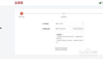 头条训练营审核,揭秘审核背后的秘密，助你轻松过审